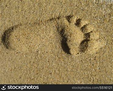 Photo of a lonely footprint in wet sand