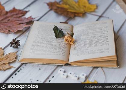 Photo of a paper book on a table with leaves.. Favorite book and autumn leaves 3716.