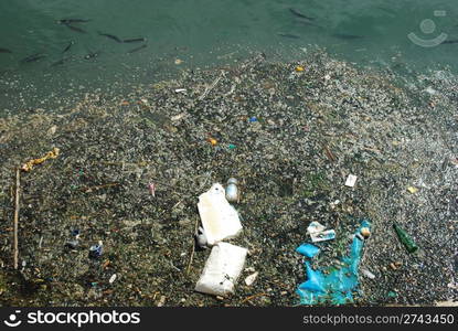 photo of a polluted river full of rubbish and some black fishes