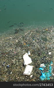 photo of a polluted river full of rubbish and some black fishes