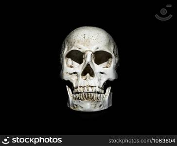Photo of a skull on a black background