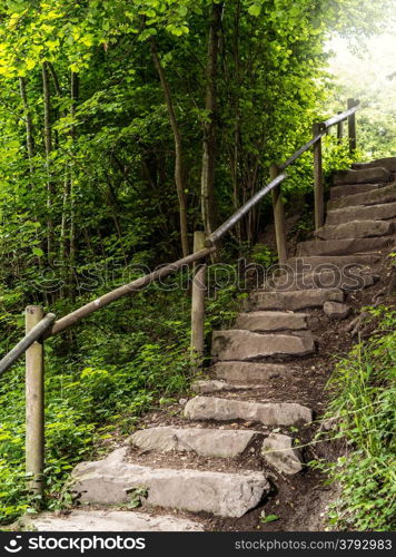 Photo of a stone staircase leading out of the forest.