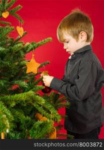 Photo of a young boy hanging decorations on a Christmas tree.