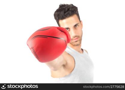 photo of adult boxer on white background