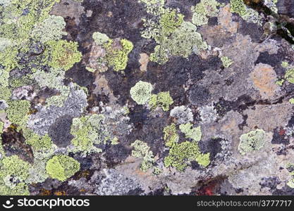 Photo of background colorful roughness gritty texture