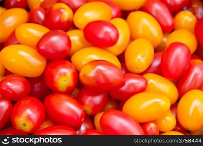 Photo of background with fresh red and yellow tomatos