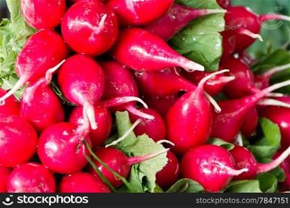 Photo of background with fresh red radish