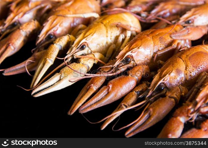 Photo of background with red boiled crawfishes