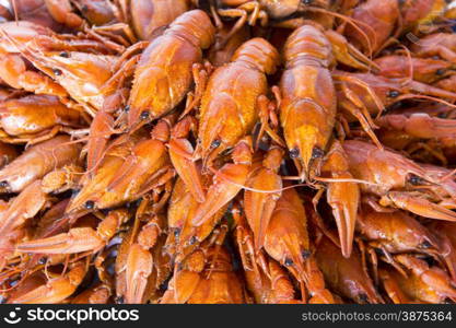 Photo of background with red boiled crawfishes