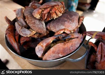 Photo of black crabs on kitchen at metal bucket