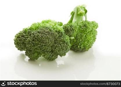 photo of delicious broccoli on white isolated background