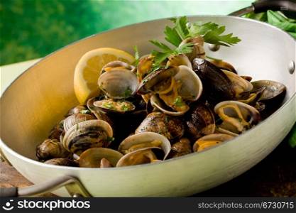 photo of delicious clams inside a pan in front of a greeb background