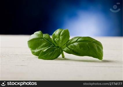 photo of delicious fresh basil leaves hightlighte by a spot light
