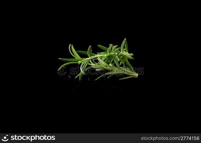 photo of delicious fresh rosemary on a black background