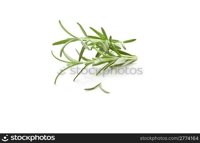 photo of delicious fresh rosemary on a white background