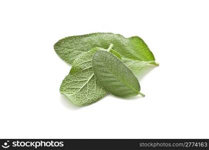 photo of delicious fresh sage leaves on white background