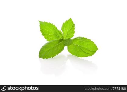 photo of delicious pepper mint in front of a white background