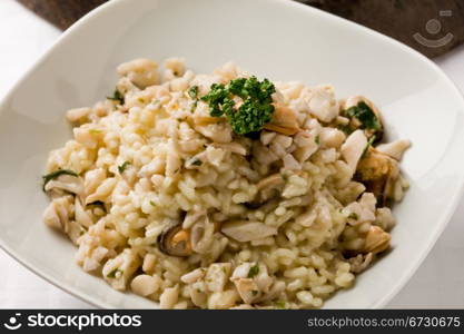 photo of delicious risotto with seafood and parsley on it