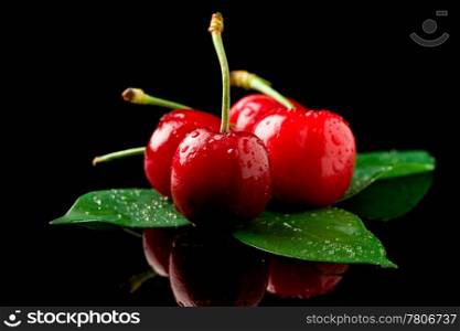 photo of delicious wet cherries on green leaves over black reflecting background