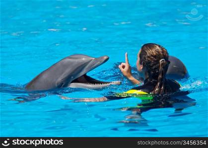 Photo of dolphins doing a show in the swimming pool