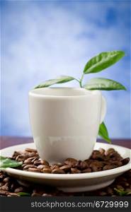photo of espresso cup over coffee beans with green leaves