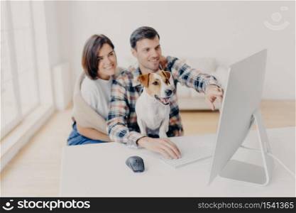 Photo of family couple make shopping on favourite website, enjoy time together, funny dog focused in monitor of computer, sits in coworking space. Focus on domestic animal. Digital marketing