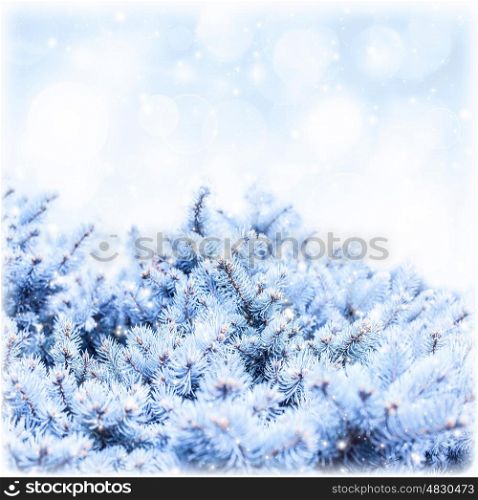 Photo of fir branch covered white snow on blue sky background, rime on pine tree border, winter floral backdrop, New Year greeting card, copy space, snowy forest, wintertime holidays, greeting card
