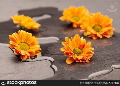 Photo of flowers on the floor
