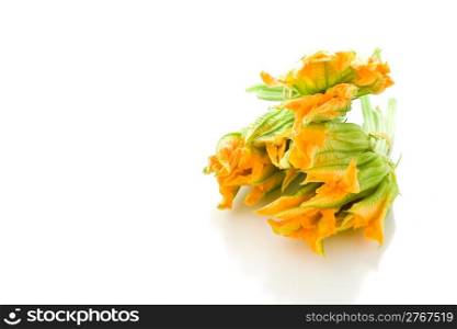 photo of fresh bunch of zucchini flowers on white background