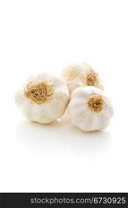photo of fresh delicious garlic on white isolated background