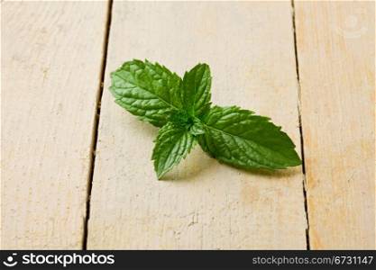 photo of fresh green mint leaves on wooden table