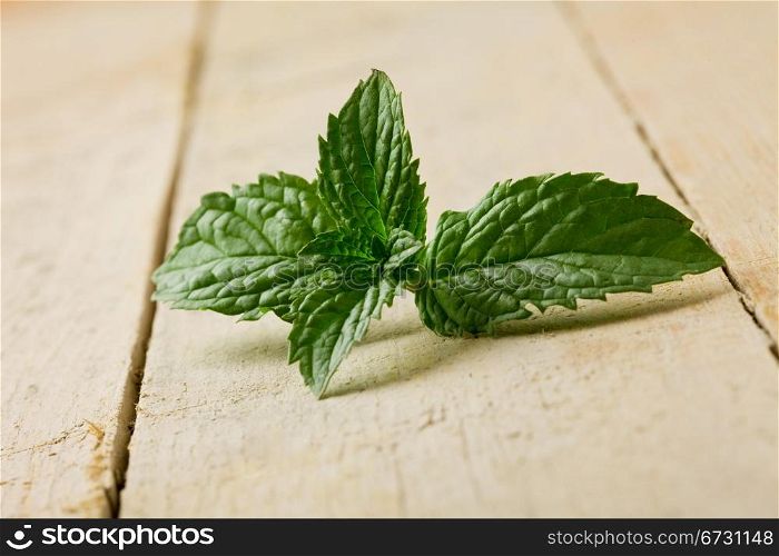 photo of fresh green mint leaves on wooden table