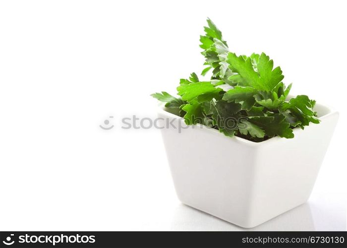 photo of fresh green parsley on white isolated background