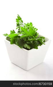 photo of fresh green parsley on white isolated background