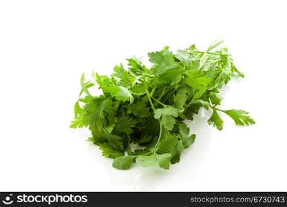 photo of fresh parsley on white isolated background