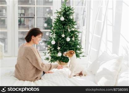 Photo of glad brunette young woman holds paw of favourite dog, wears brown sweater, sit on comfortable bed in cozy room, enjoy New Year holiday, beautiful decorated firtree stands near window
