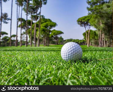 Photo of Golf course in the countryside