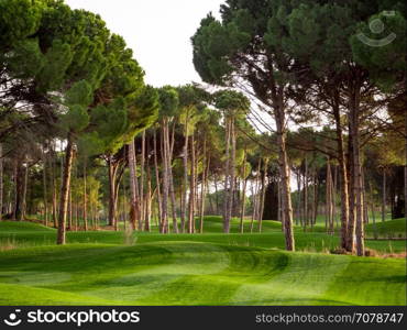 Photo of Golf course in the countryside