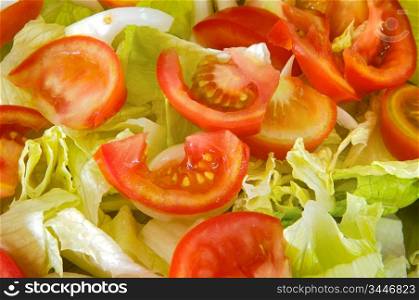 photo of green salad of tomato and lettuce