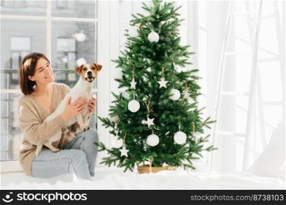 Photo of happy European woman embraces pedigree dog, pose around decorated Christmas tree, enjoy domestic atmosphere, winter holidays, have fun together. Merry Christmas and happy New Year concept