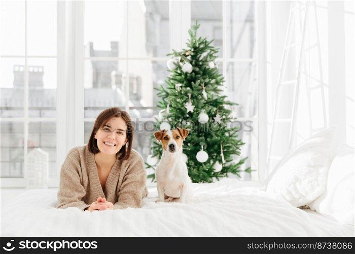 Photo of happy young woman and pedigree dog wait together for New Year, pose at home in bedroom with white walls, big windows, enjoy comfort on bed, Christmas tree in background, smile at camera
