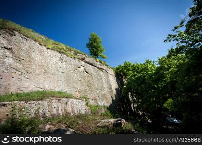 Photo of lonely tree growing on top of steep rock