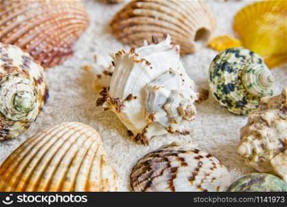 Photo of lot seashells on color towel
