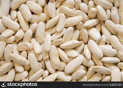 Photo of many white beans for use as background