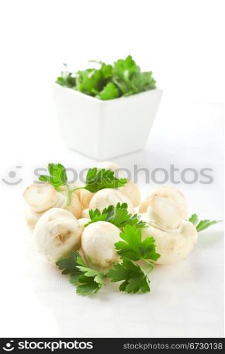 photo of mushrooms with parsley on white isolated background