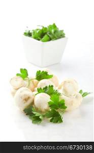 photo of mushrooms with parsley on white isolated background