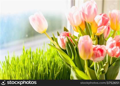 Photo of pink tulips against grass on windowsill