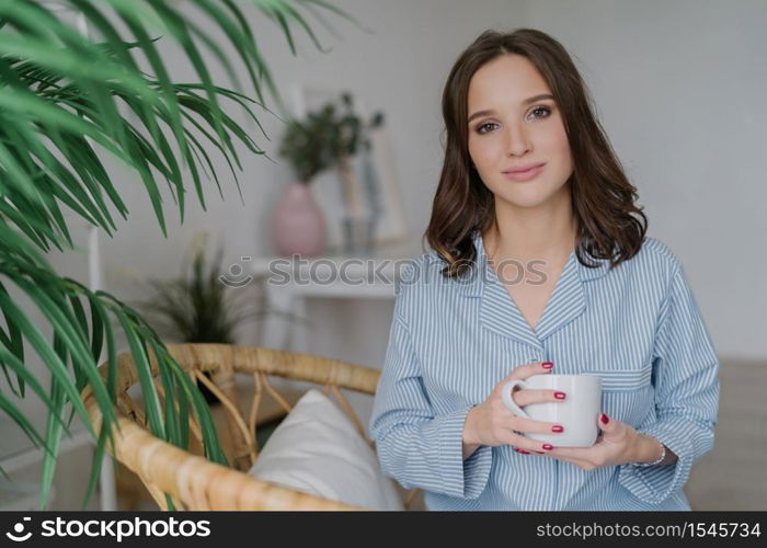 Photo of pretty female with appealing look, dressed in casual domestic clothes, holds white mug with aromatic coffee or tea, sits on wicker furniture indoor with copy space for your advertisement