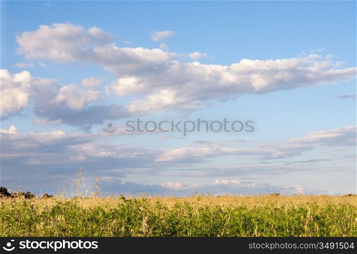 Photo of pretty field and cloudy sky
