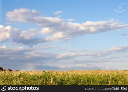 Photo of pretty field and cloudy sky